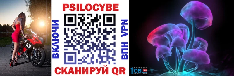 Галлюциногенные грибы Psilocybine cubensis  KRAKEN ТОР  Шагонар 